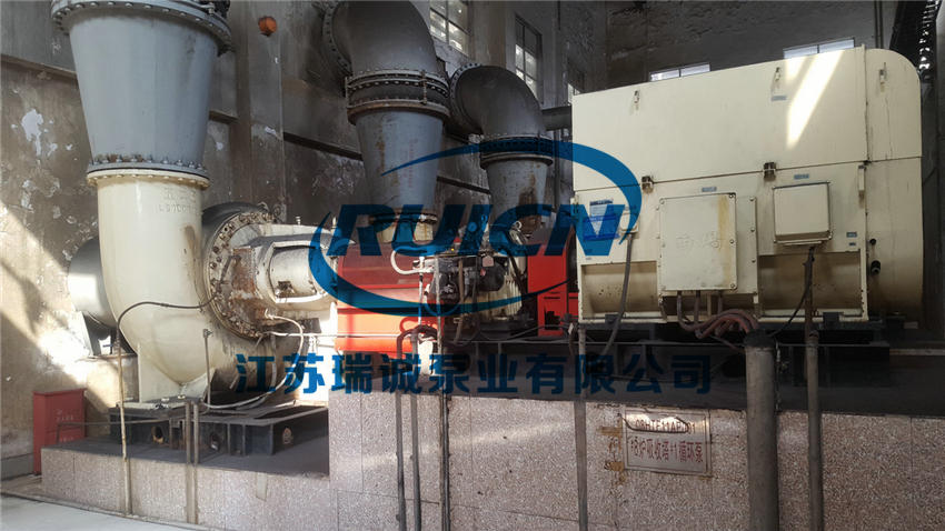 1619524384532175.jpg 20180309_184858000_iOS.jpg